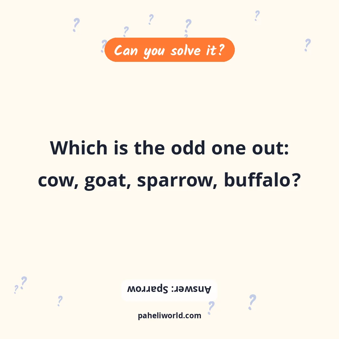 Riddle: Which is the odd one out: cow, goat, sparrow, buffalo?