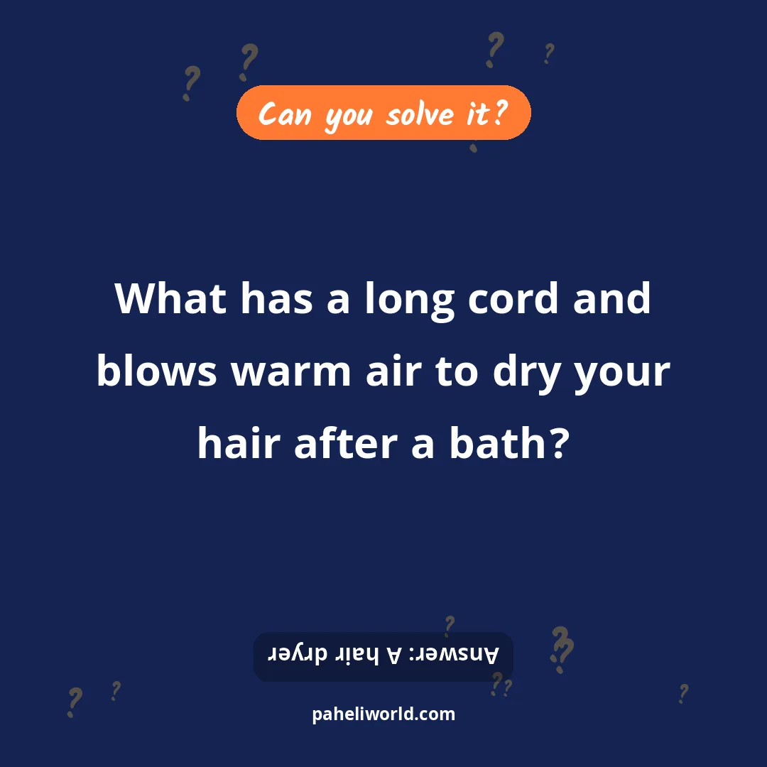Riddle: What has a long cord and blows warm air to dry your hair after a bath?