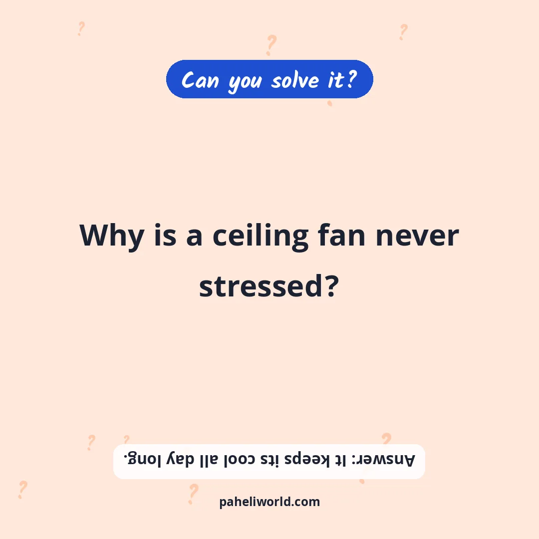Riddle: Why is a ceiling fan never stressed?