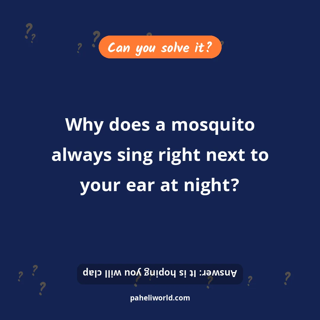 Riddle: Why does a mosquito always sing right next to your ear at night?