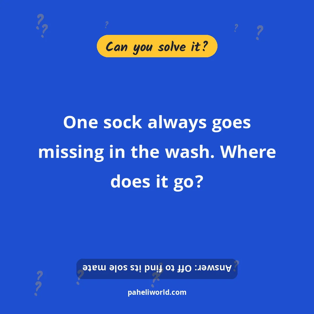Riddle: One sock always goes missing in the wash. Where does it go?