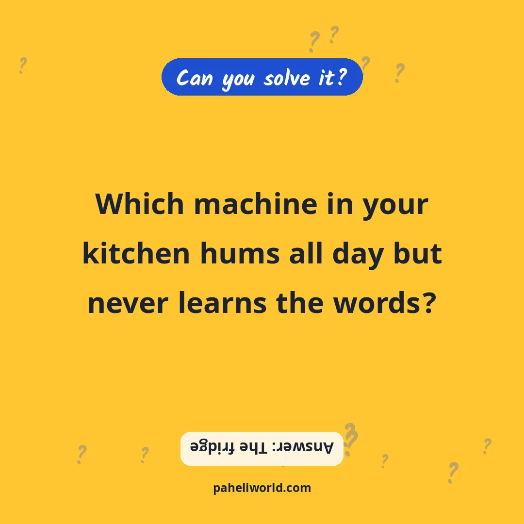 Riddle: Which machine in your kitchen hums all day but never learns the words?