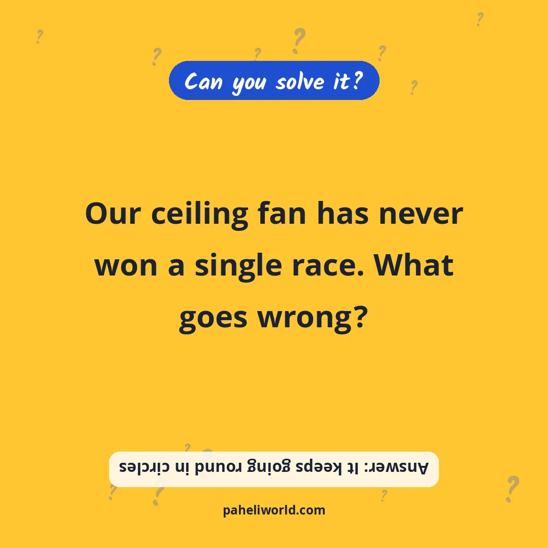 Riddle: Our ceiling fan has never won a single race. What goes wrong?