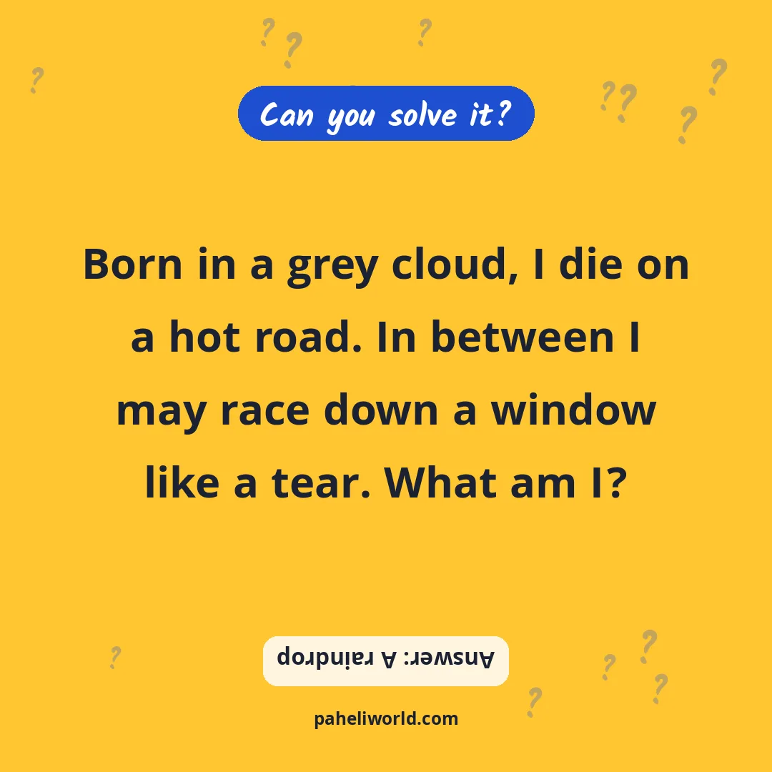 Riddle: Born in a grey cloud, I die on a hot road. In between I may race down a window like a tear. What am I?