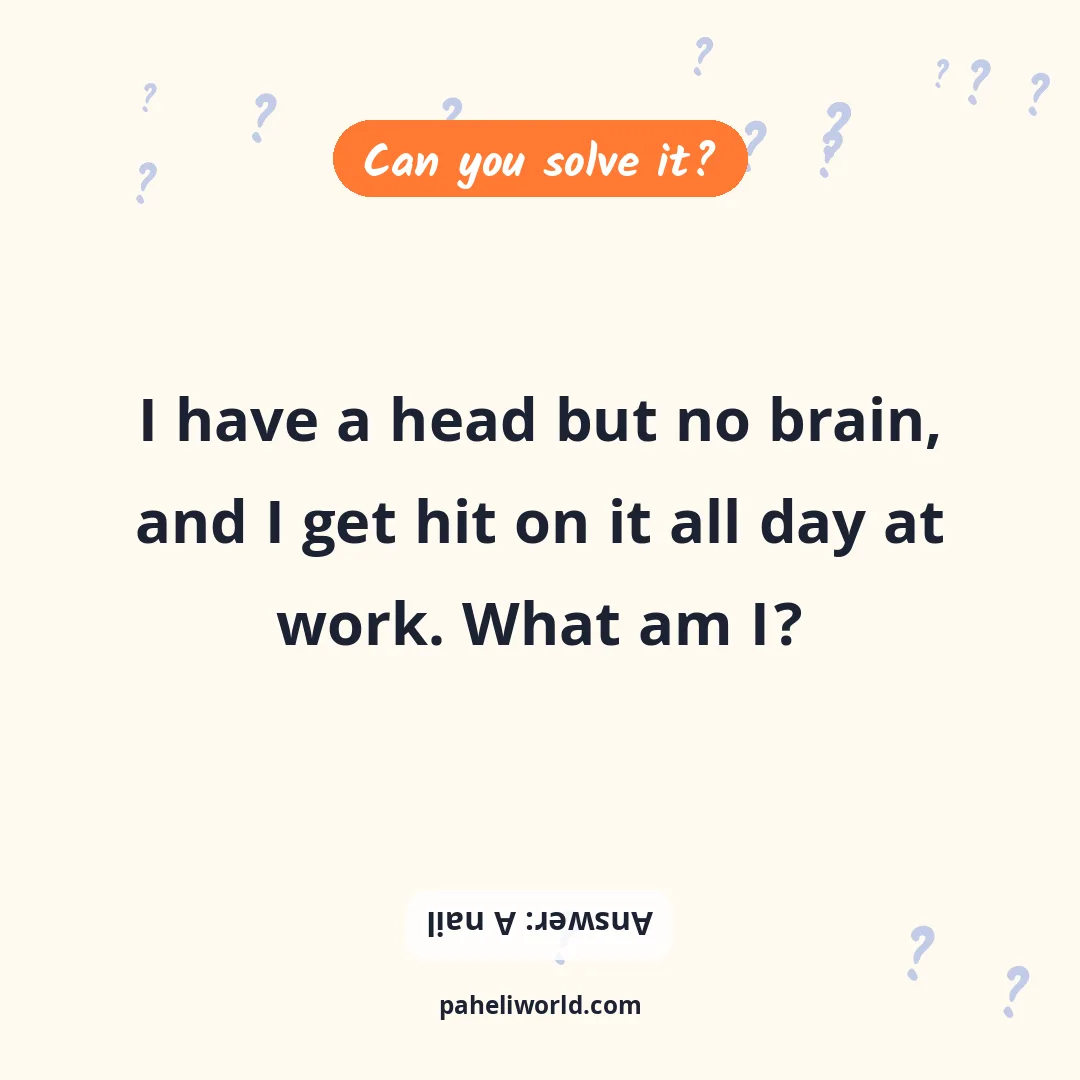 Riddle: I have a head but no brain, and I get hit on it all day at work. What am I?