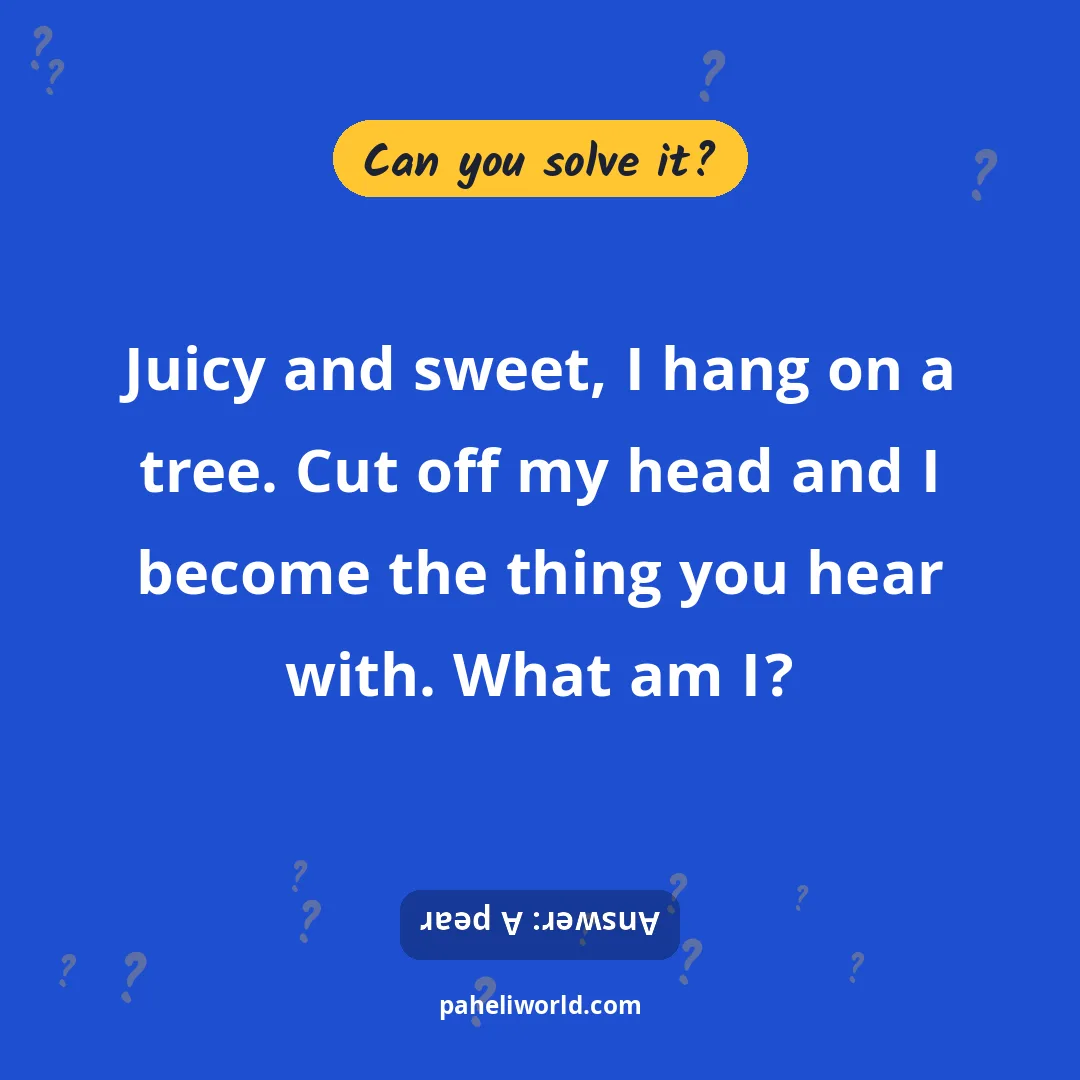 Riddle: Juicy and sweet, I hang on a tree. Cut off my head and I become the thing you hear with. What am I?