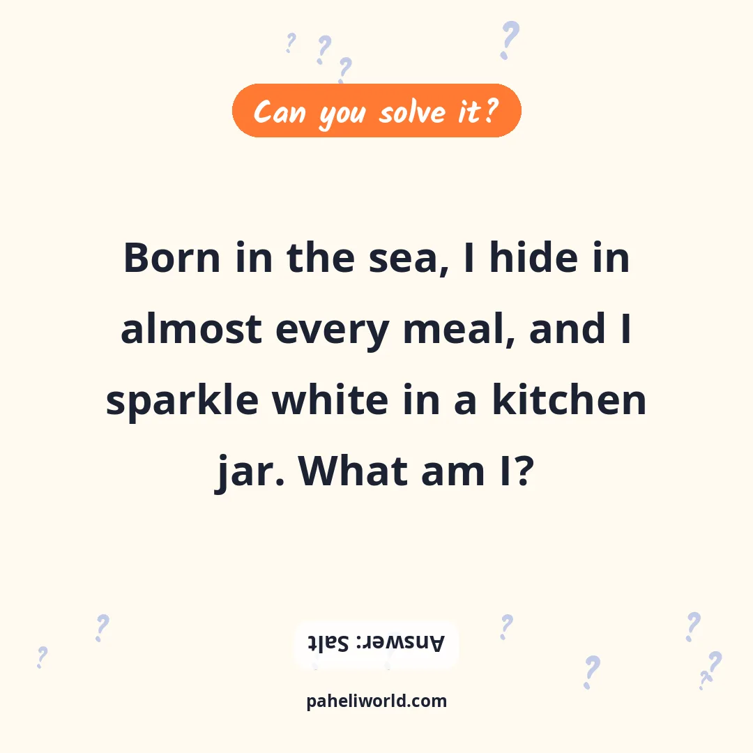 Riddle: Born in the sea, I hide in almost every meal, and I sparkle white in a kitchen jar. What am I?