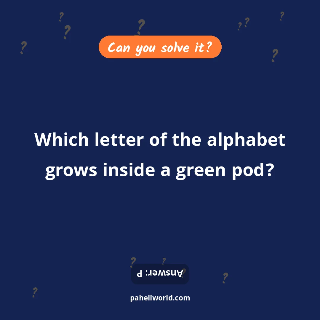 Riddle: Which letter of the alphabet grows inside a green pod?