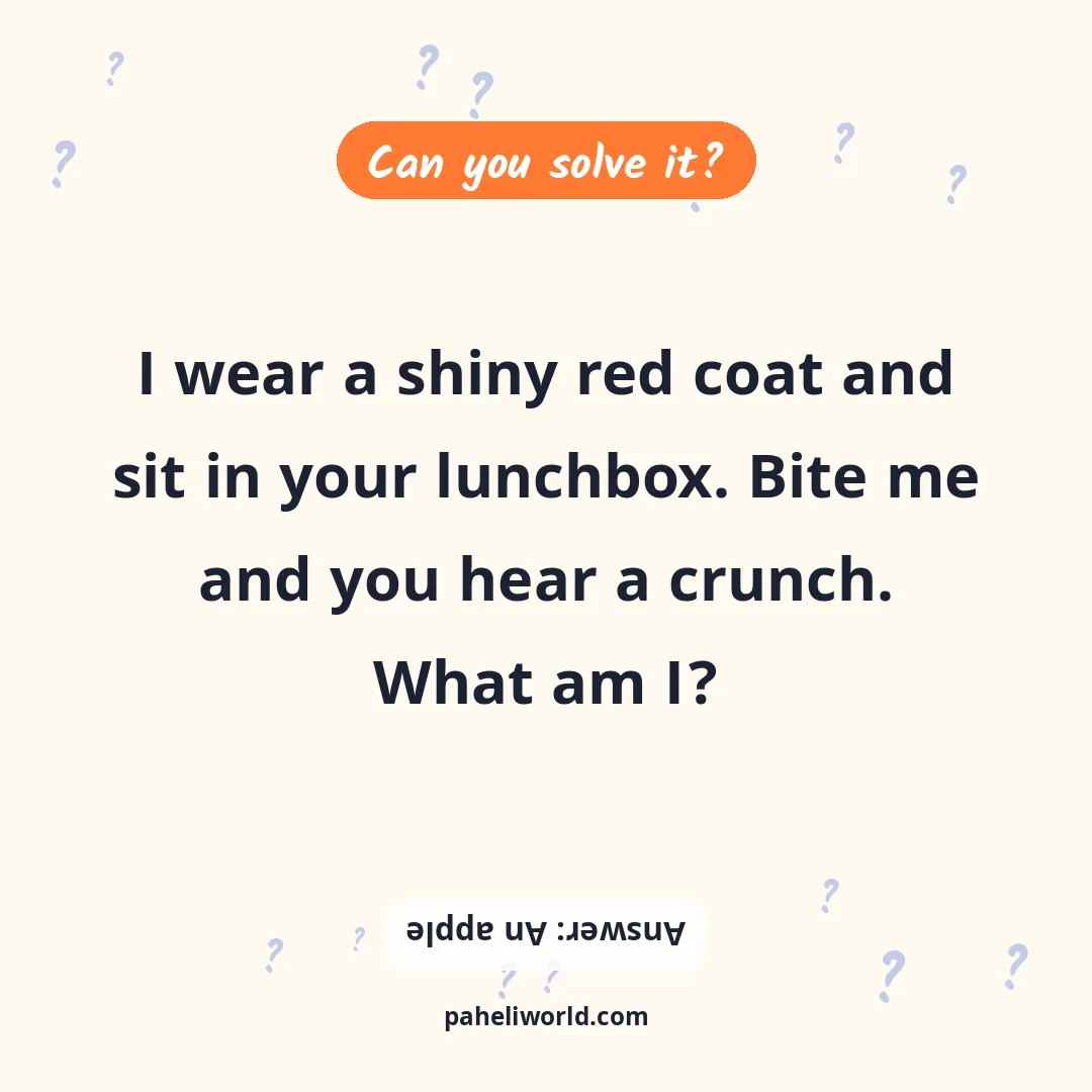 Riddle: I wear a shiny red coat and sit in your lunchbox. Bite me and you hear a crunch. What am I?
