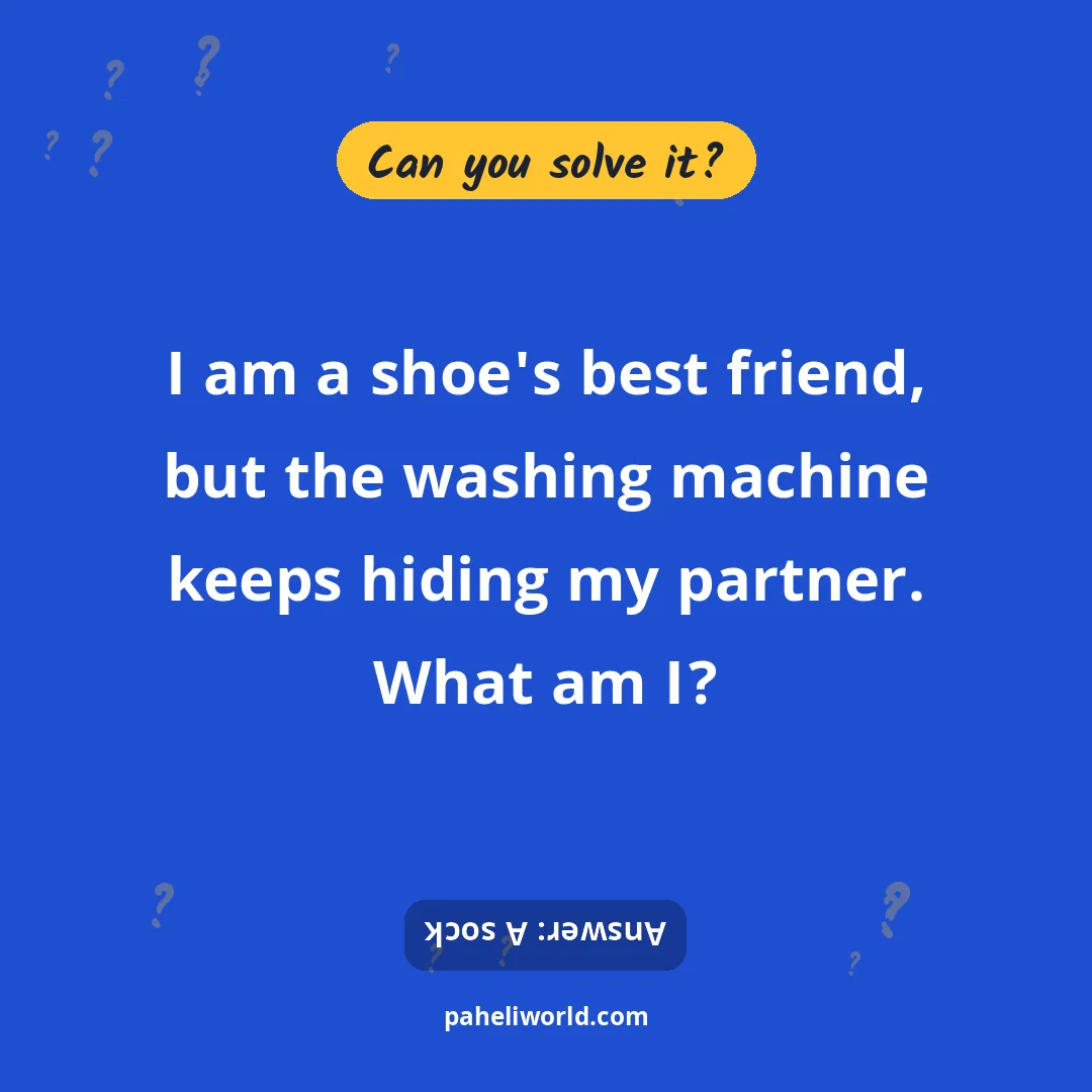 Riddle: I am a shoe's best friend, but the washing machine keeps hiding my partner. What am I?