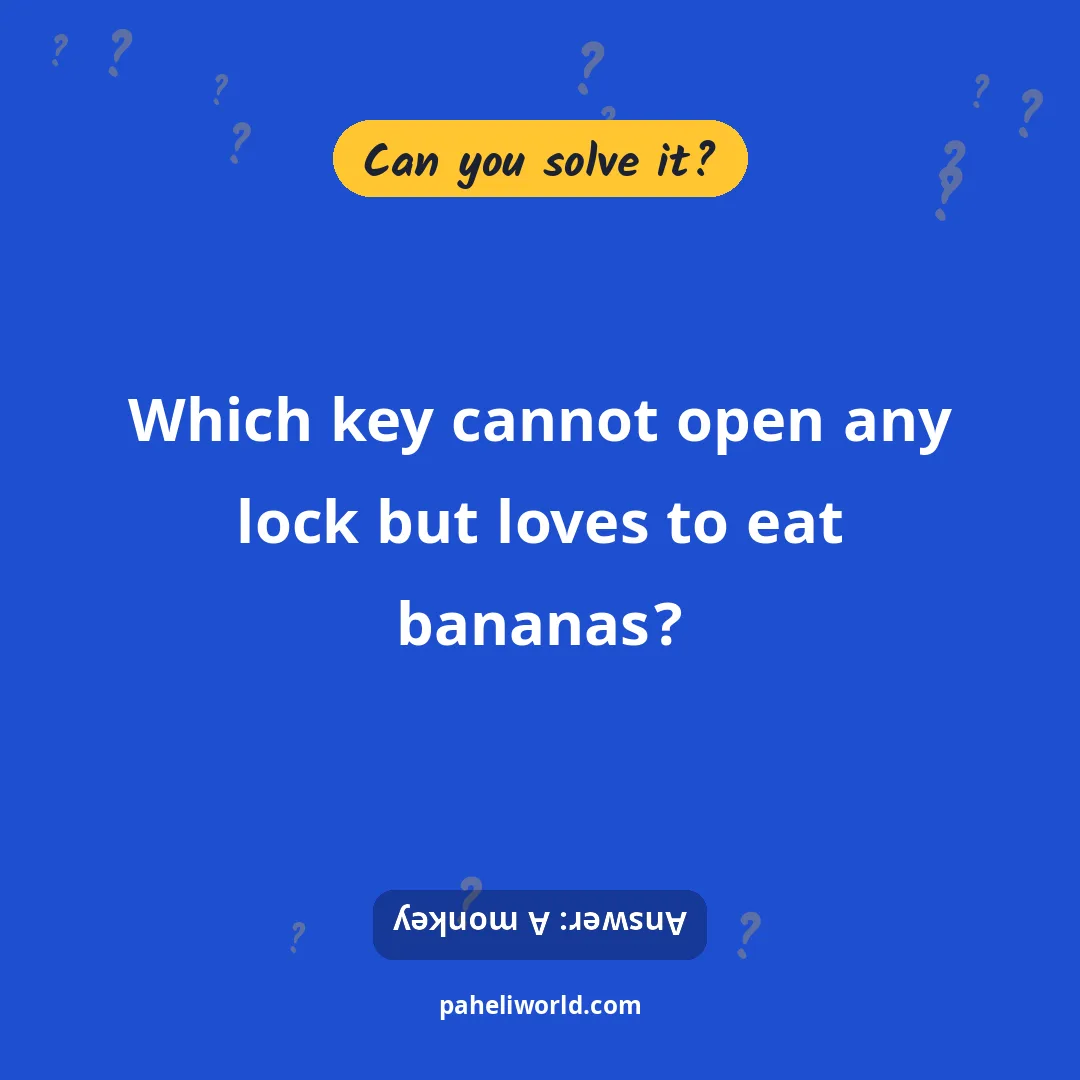 Riddle: Which key cannot open any lock but loves to eat bananas?