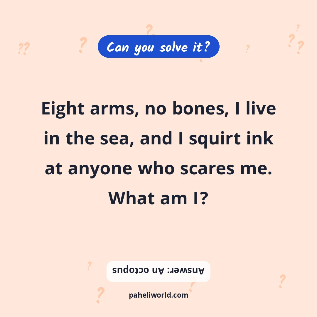 Riddle: Eight arms, no bones, I live in the sea, and I squirt ink at anyone who scares me. What am I?