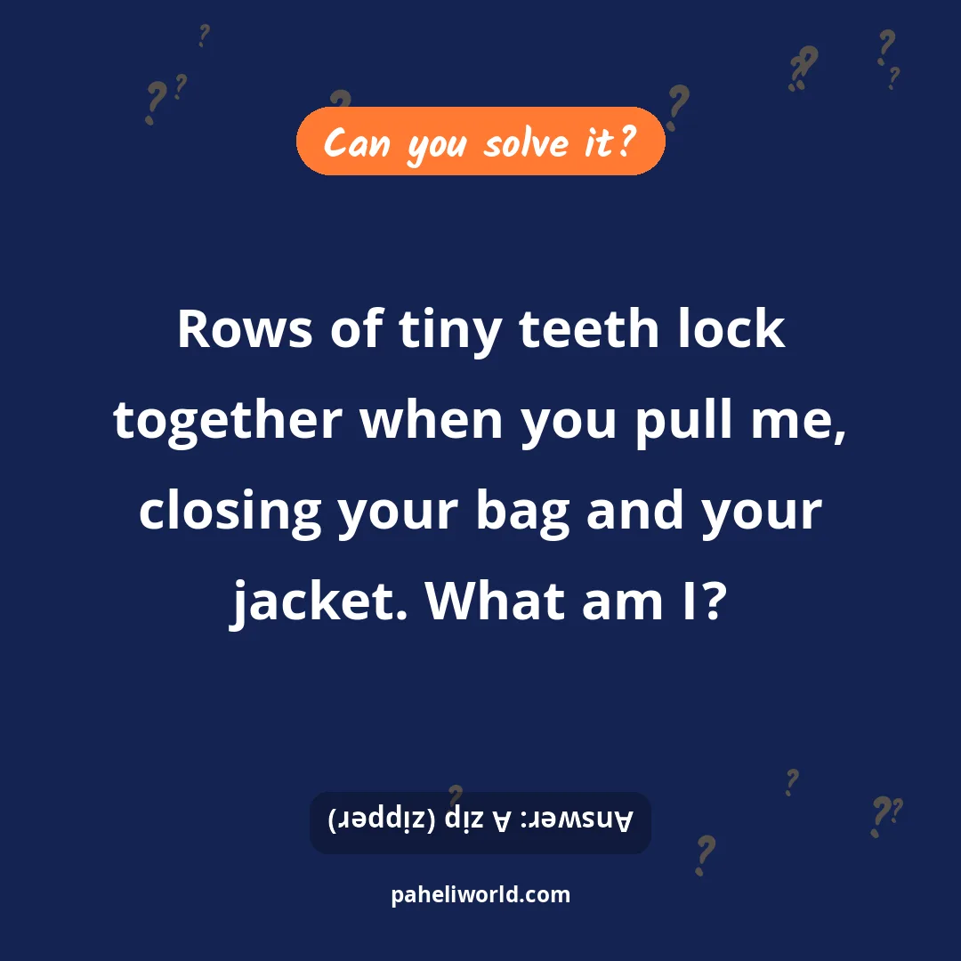 Riddle: Rows of tiny teeth lock together when you pull me, closing your bag and your jacket. What am I?