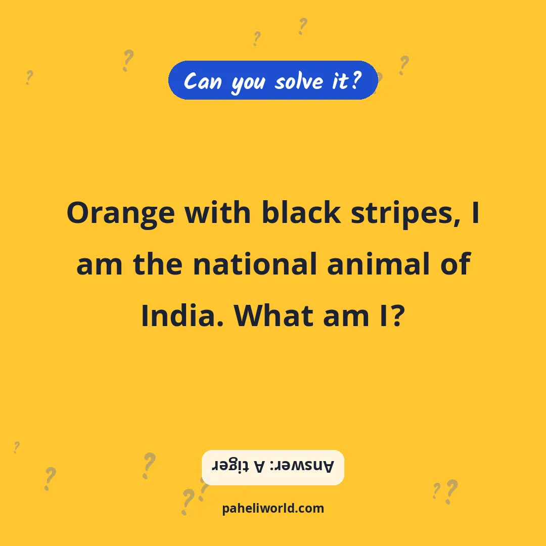 Riddle: Orange with black stripes, I am the national animal of India. What am I?