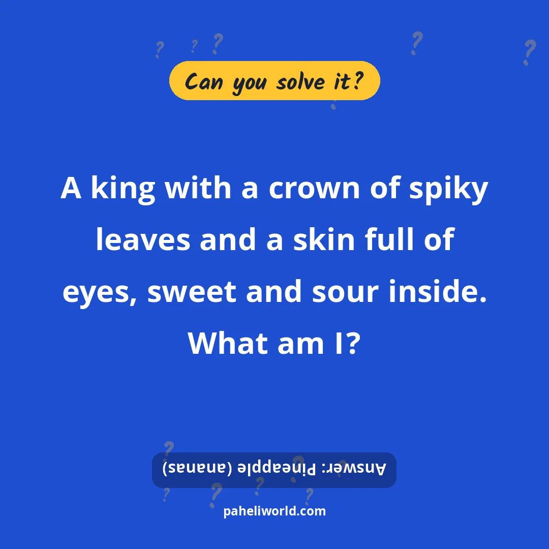 Riddle: A king with a crown of spiky leaves and a skin full of eyes, sweet and sour inside. What am I?